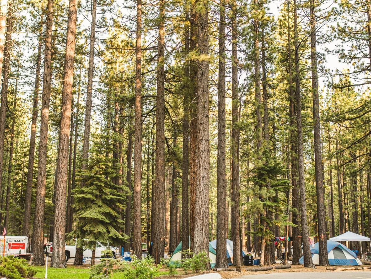Tahoe Valley Cottage 2 South Lake Tahoe Eksteriør bilde